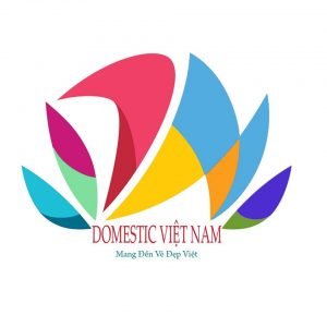 thiết bị spa domestic việt nam