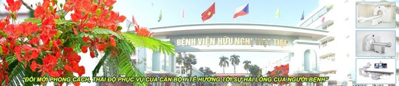 Việt Tiệp