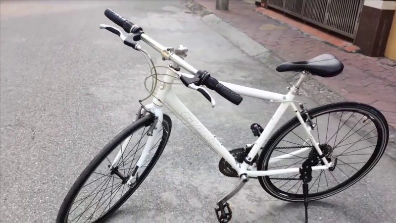 Xe đạp Nhật bãi Bridgestone ORDINO  Greenbikecomvn