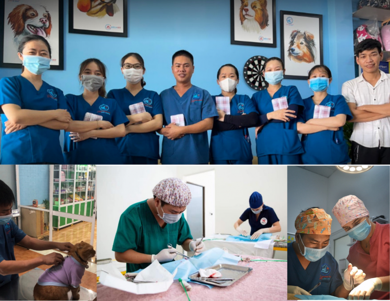 phòng khám thú y uy tín ở Đà Nẵng