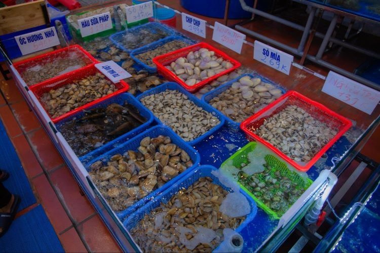 Hải sản tươi sống tại nhà hàng Biển Việt